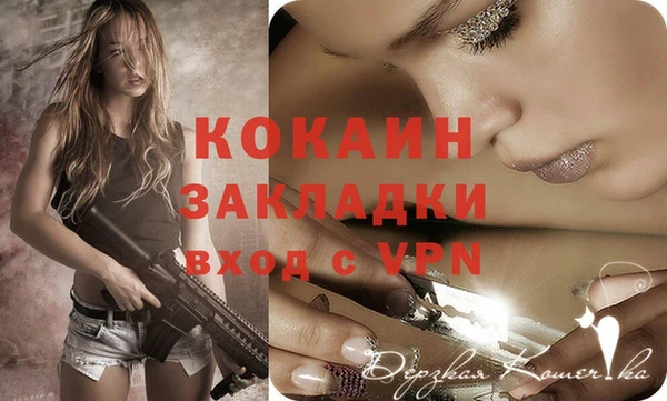сатива Арсеньев